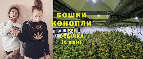 mix Инта