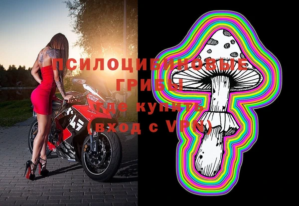 первитин Инсар
