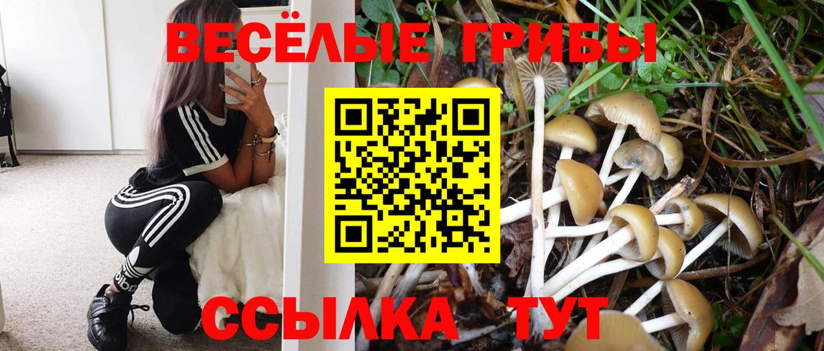 Псилоцибиновые грибы мицелий  Вход с VPN  Владивосток 
