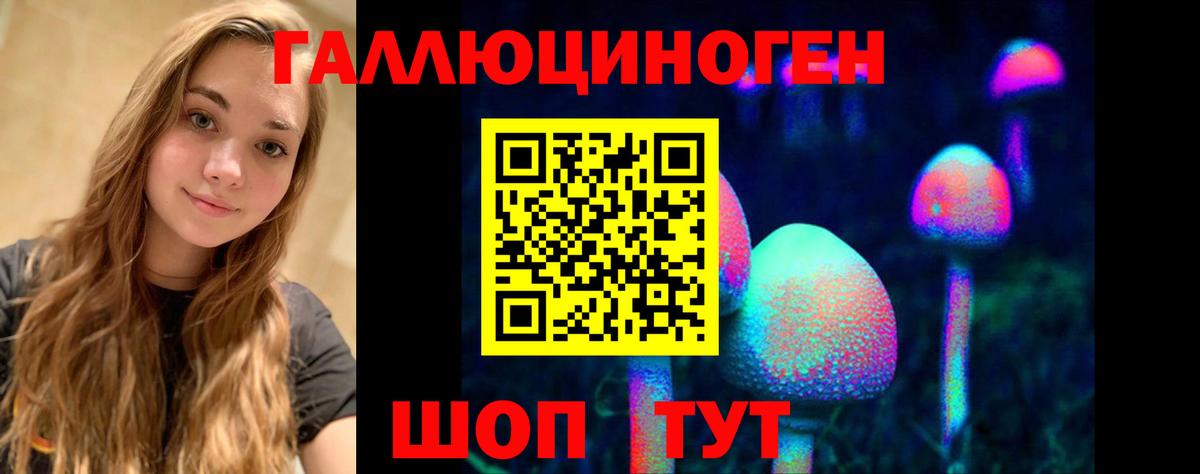 Галлюциногенные грибы мухоморы Владивосток